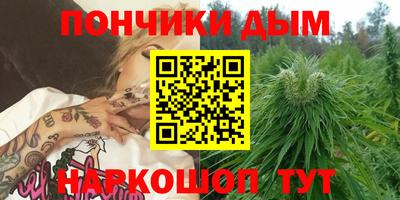 прущие грибы Анжеро-Судженск