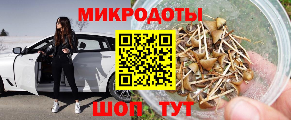 Псилоцибиновые грибы Psilocybe Луга
