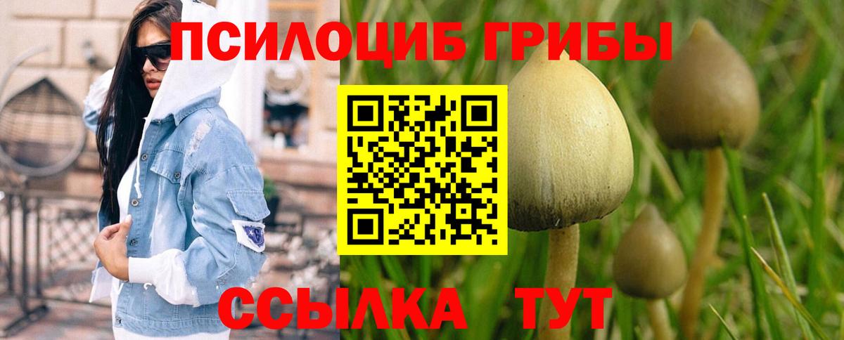 Галлюциногенные грибы мухоморы  Галлюциногенные грибы ЛСД  Луга  Вход с VPN 